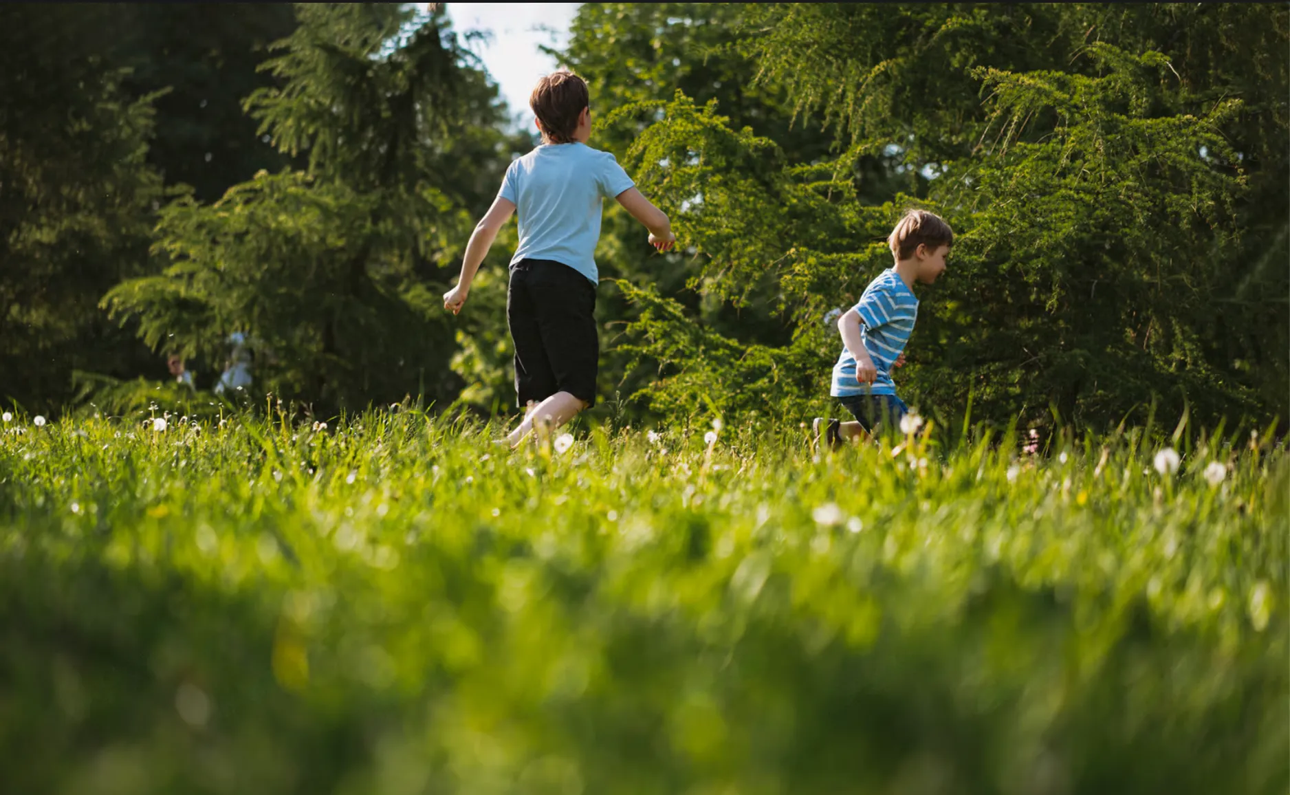 A Childhood in the Wild: What Growing Up in Nature Teaches Kids That Cities Can-t